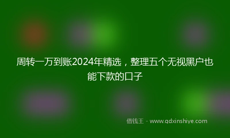周转一万到账2024年精选,整理五个无视黑户也能下款的口子