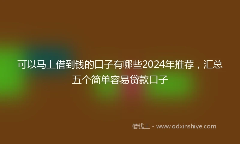可以马上借到钱的口子有哪些2024年推荐，汇总五个简单容易贷款口子