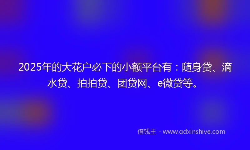 2025年的大花户必下的小额平台有：随身贷、滴水贷、拍拍贷、团贷网、e微贷等。
