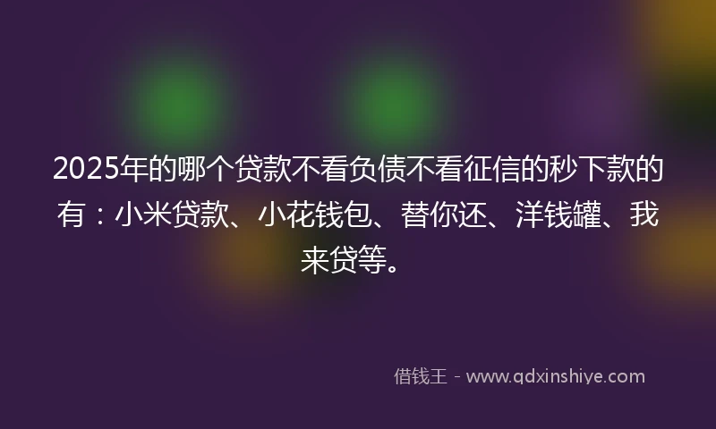 2025年的哪个贷款不看负债不看征信的秒下款的有：小米贷款、小花钱包、替你还、洋钱罐、我来贷等。