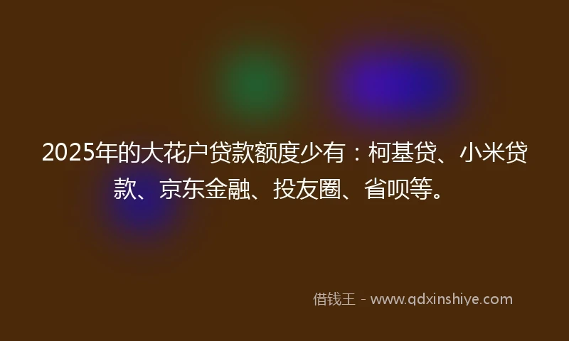 2025年的大花户贷款额度少有：柯基贷、小米贷款、京东金融、投友圈、省呗等。