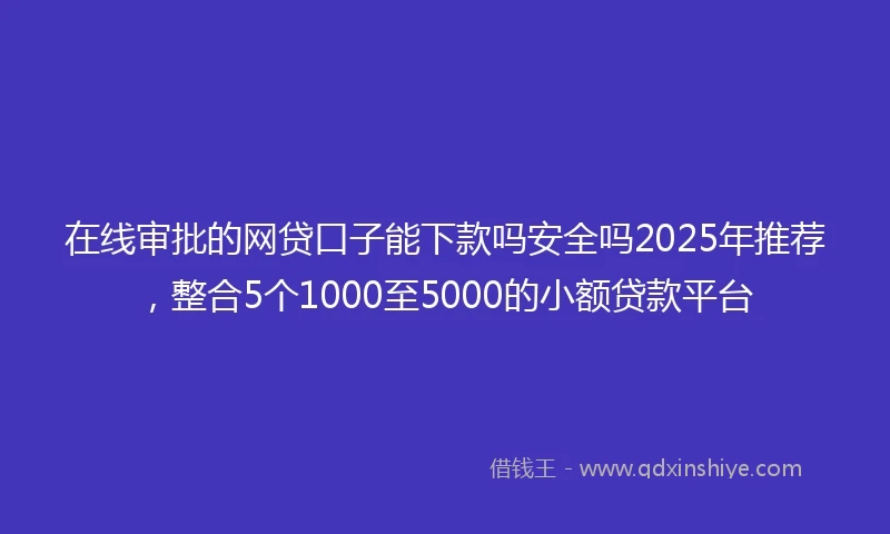 在线审批的网贷口子能下款吗安全吗2025年推荐，整合5个1000至5000的小额贷款平台
