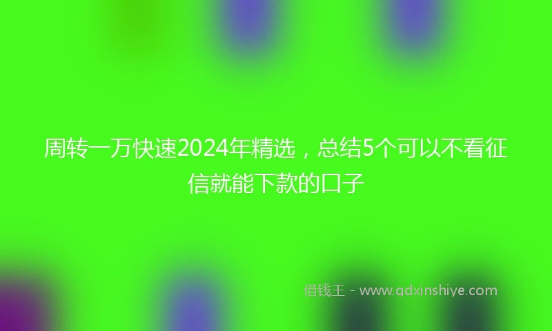 周转一万快速2024年精选，总结5个可以不看征信就能下款的口子