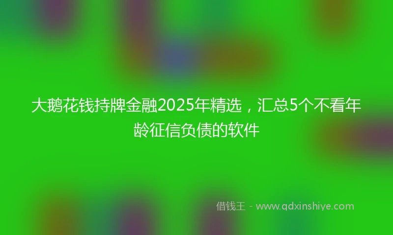 大鹅花钱持牌金融2025年精选，汇总5个不看年龄征信负债的软件
