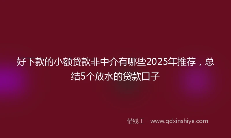 好下款的小额贷款非中介有哪些2025年推荐，总结5个放水的贷款口子
