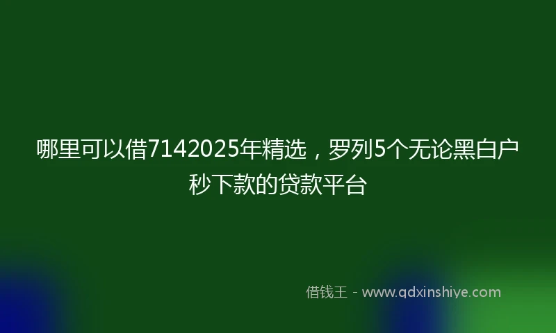 哪里可以借7142025年精选，罗列5个无论黑白户秒下款的贷款平台