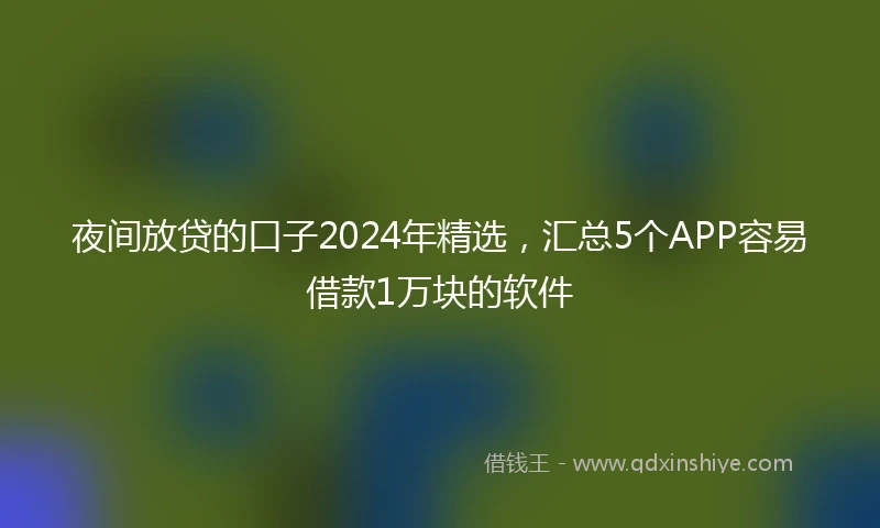 夜间放贷的口子2024年精选，汇总5个APP容易借款1万块的软件