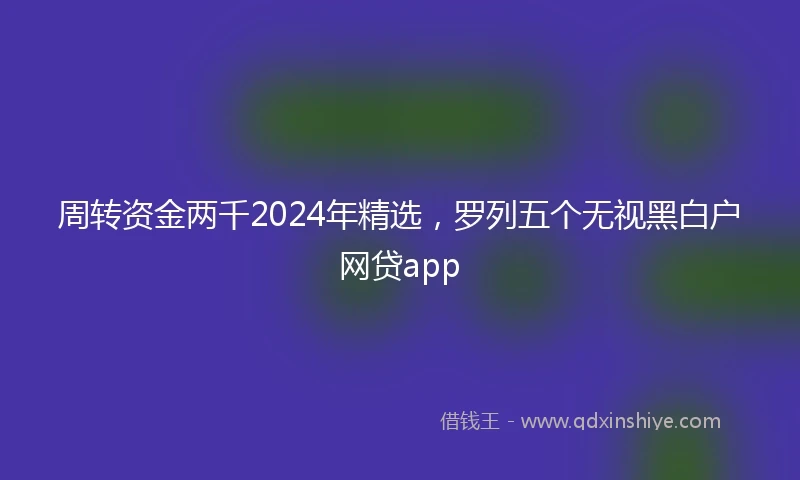 周转资金两千2024年精选，罗列五个无视黑白户网贷app