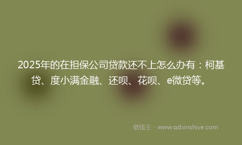 2025年的在担保公司贷款还不上怎么办有：柯基贷、度小满金融、还呗、花呗、e微贷等。