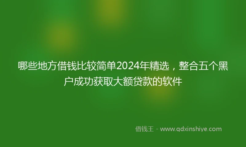 哪些地方借钱比较简单2024年精选，整合五个黑户成功获取大额贷款的软件