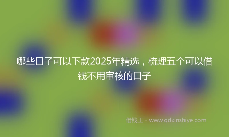 哪些口子可以下款2025年精选，梳理五个可以借钱不用审核的口子