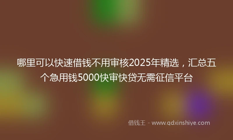 哪里可以快速借钱不用审核2025年精选，汇总五个急用钱5000快审快贷无需征信平台