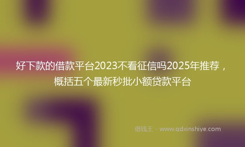好下款的借款平台2023不看征信吗2025年推荐，概括五个最新秒批小额贷款平台