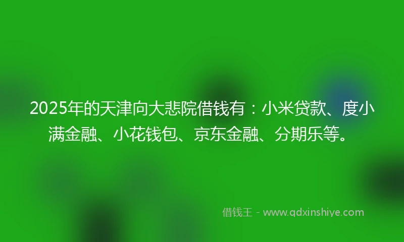 2025年的天津向大悲院借钱有：小米贷款、度小满金融、小花钱包、京东金融、分期乐等。