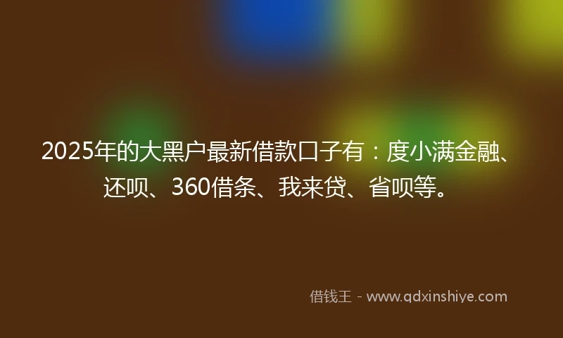 2025年的大黑户最新借款口子有：度小满金融、还呗、360借条、我来贷、省呗等。