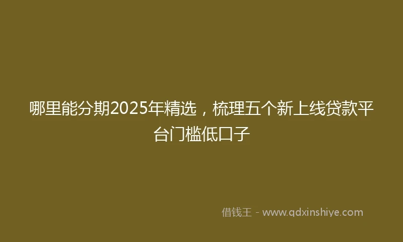 哪里能分期2025年精选,梳理五个新上线贷款平台门槛低口子