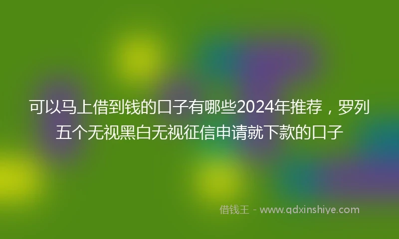 可以马上借到钱的口子有哪些2024年推荐，罗列五个无视黑白无视征信申请就下款的口子