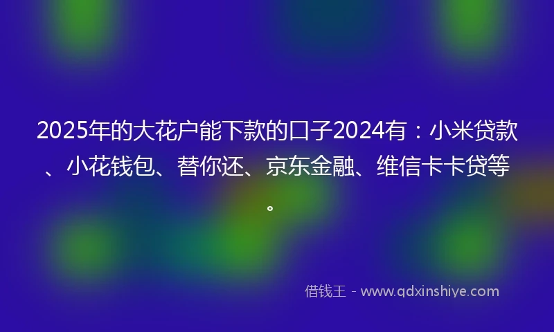 2025年的大花户能下款的口子2024有：小米贷款、小花钱包、替你还、京东金融、维信卡卡贷等。