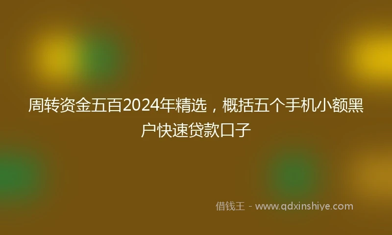 周转资金五百2024年精选，概括五个手机小额黑户快速贷款口子