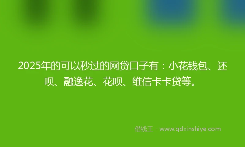 2025年的可以秒过的网贷口子有：小花钱包、还呗、融逸花、花呗、维信卡卡贷等。