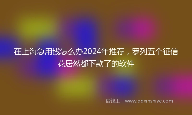 在上海急用钱怎么办2024年推荐，罗列五个征信花居然都下款了的软件