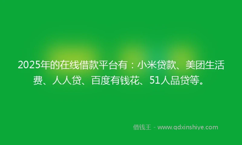 2025年的在线借款平台有：小米贷款、美团生活费、人人贷、百度有钱花、51人品贷等。