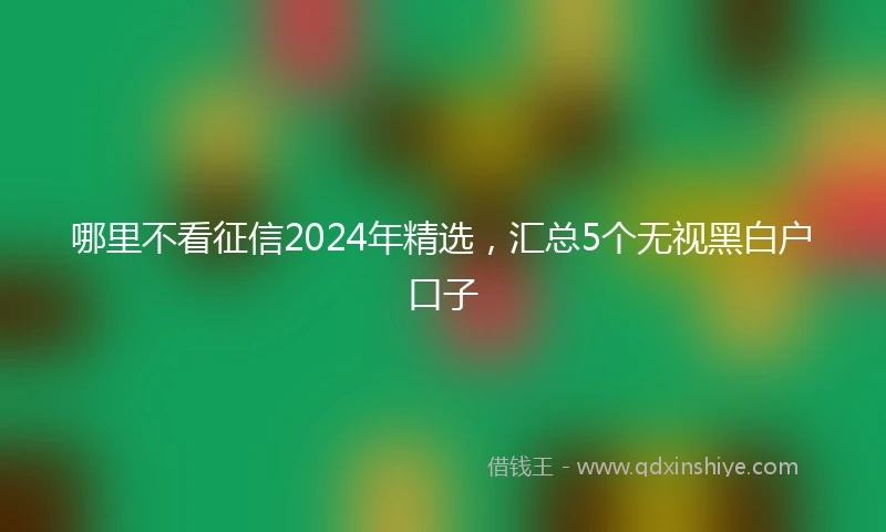 哪里不看征信2024年精选，汇总5个无视黑白户口子