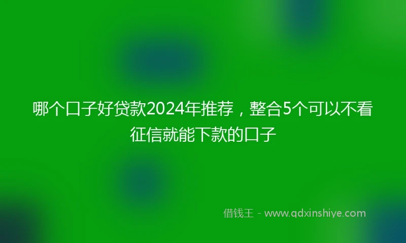 哪个口子好贷款2024年推荐,整合5个可以不看征信就能下款的口子