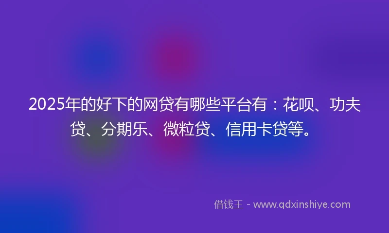 2025年的好下的网贷有哪些平台有：花呗、功夫贷、分期乐、微粒贷、信用卡贷等。
