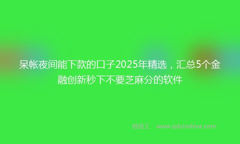 呆帐夜间能下款的口子2025年精选,汇总5个金融创新秒下不要芝麻分的软件