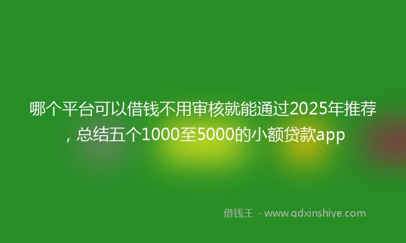哪个平台可以借钱不用审核就能通过2025年推荐，总结五个1000至5000的小额贷款app