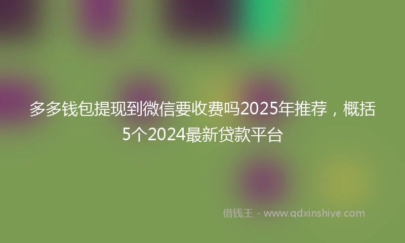 多多钱包提现到微信要收费吗2025年推荐，概括5个2024最新贷款平台
