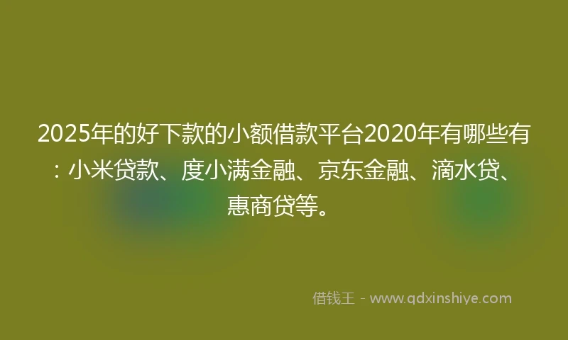 2025年的好下款的小额借款平台2020年有哪些有：小米贷款、度小满金融、京东金融、滴水贷、惠商贷等。