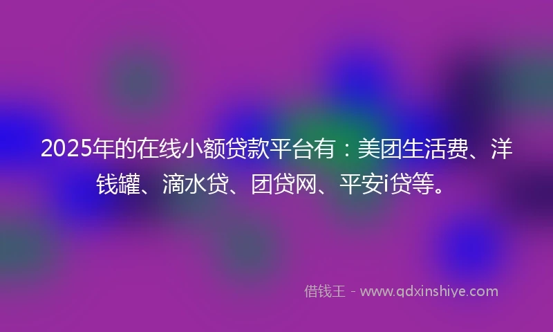 2025年的在线小额贷款平台有：美团生活费、洋钱罐、滴水贷、团贷网、平安i贷等。