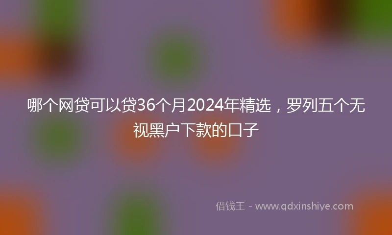 哪个网贷可以贷36个月2024年精选，罗列五个无视黑户下款的口子