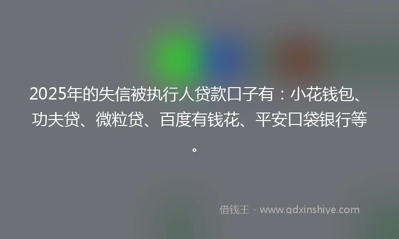 2025年的失信被执行人贷款口子有：小花钱包、功夫贷、微粒贷、百度有钱花、平安口袋银行等。