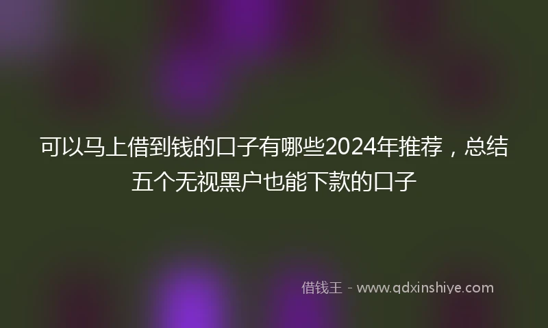 可以马上借到钱的口子有哪些2024年推荐，总结五个无视黑户也能下款的口子