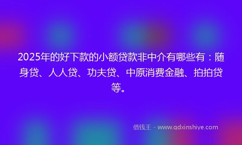 2025年的好下款的小额贷款非中介有哪些有：随身贷、人人贷、功夫贷、中原消费金融、拍拍贷等。