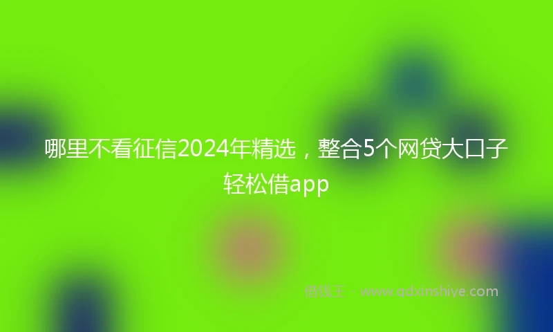 哪里不看征信2024年精选，整合5个网贷大口子轻松借app