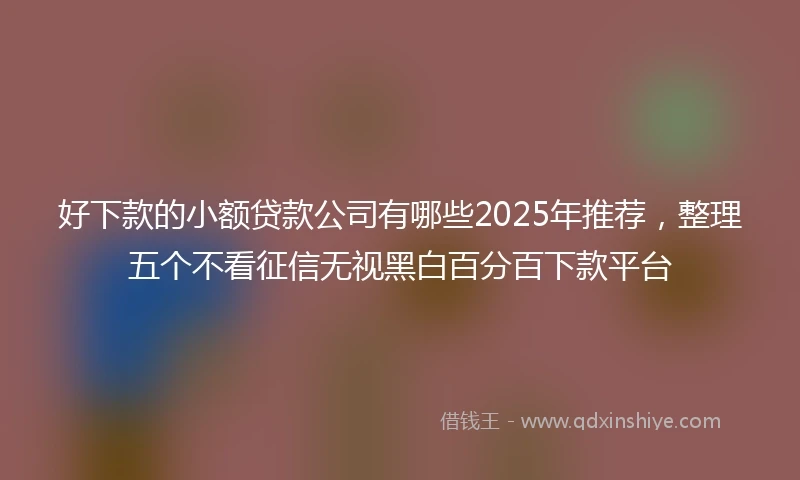 好下款的小额贷款公司有哪些2025年推荐，整理五个不看征信无视黑白百分百下款平台