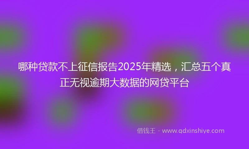 哪种贷款不上征信报告2025年精选，汇总五个真正无视逾期大数据的网贷平台