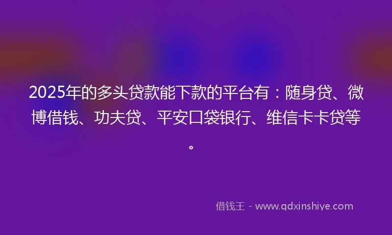 2025年的多头贷款能下款的平台有：随身贷、微博借钱、功夫贷、平安口袋银行、维信卡卡贷等。