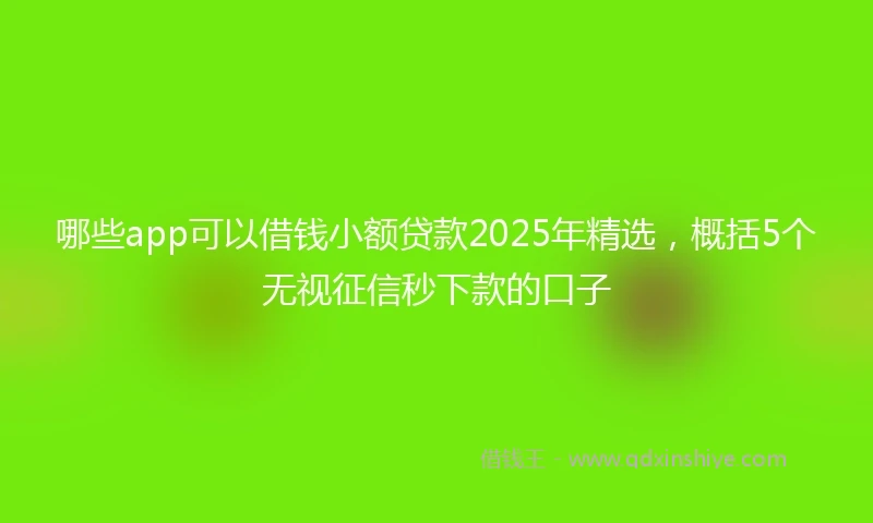 哪些app可以借钱小额贷款2025年精选，概括5个无视征信秒下款的口子