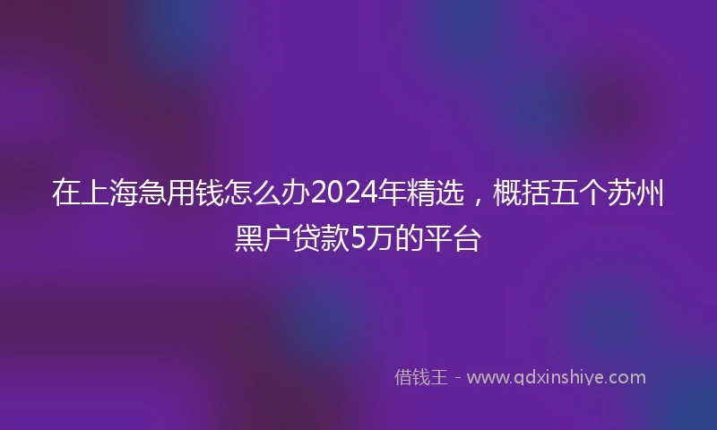 在上海急用钱怎么办2024年精选，概括五个苏州黑户贷款5万的平台