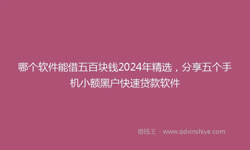 哪个软件能借五百块钱2024年精选，分享五个手机小额黑户快速贷款软件
