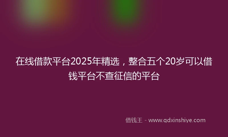 在线借款平台2025年精选，整合五个20岁可以借钱平台不查征信的平台