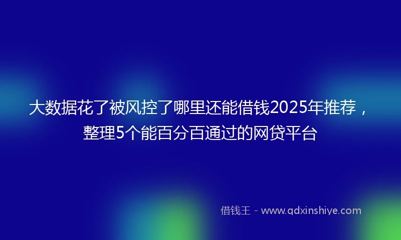 大数据花了被风控了哪里还能借钱2025年推荐，整理5个能百分百通过的网贷平台