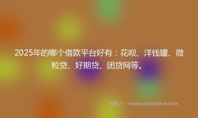 2025年的哪个借款平台好有：花呗、洋钱罐、微粒贷、好期贷、团贷网等。