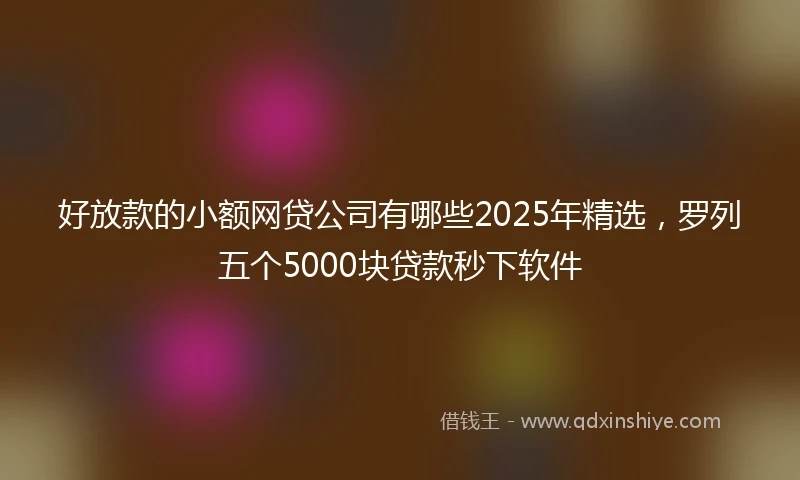 好放款的小额网贷公司有哪些2025年精选，罗列五个5000块贷款秒下软件