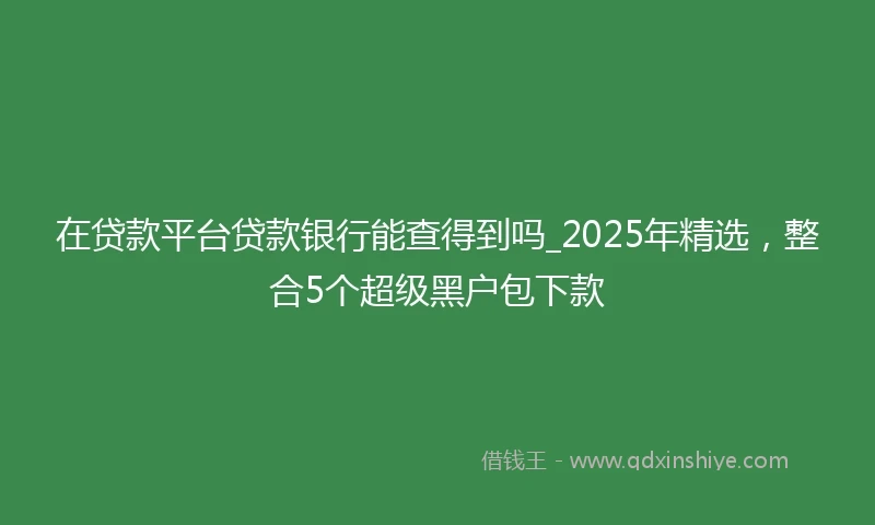 在贷款平台贷款银行能查得到吗_2025年精选，整合5个超级黑户包下款